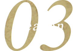 Reason 03