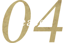 Reason 04