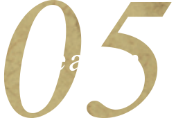 Reason 05