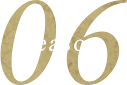Reason 06