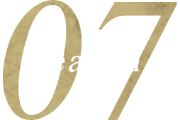 Reason 07